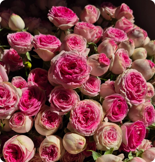 Цветы поштучно