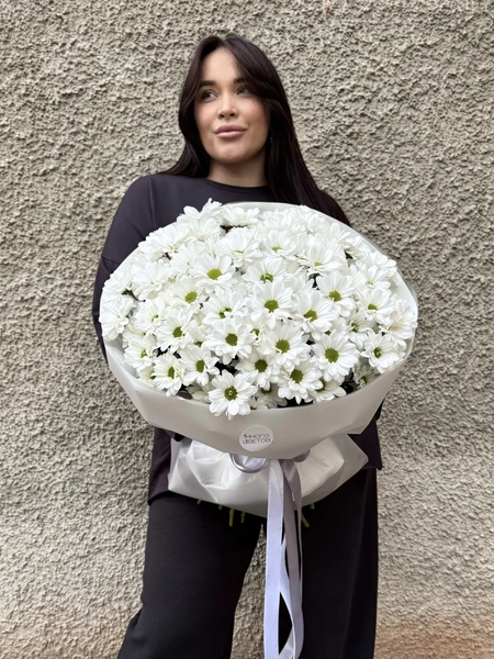 Хризантемы №23