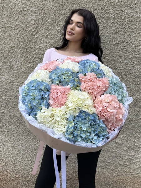 Гортензии 15шт №10