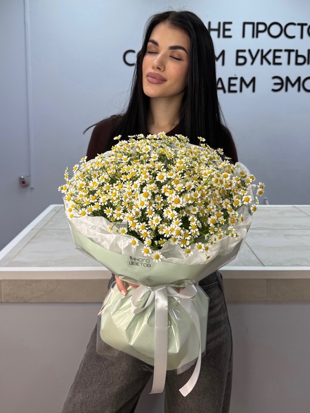Ромашки полевые М
