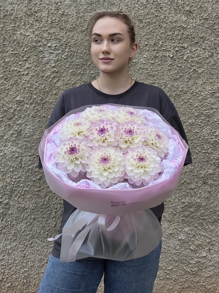 Георгины 9шт №6
