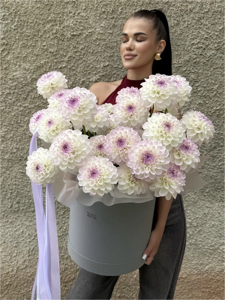 Георгины в коробке XL №1