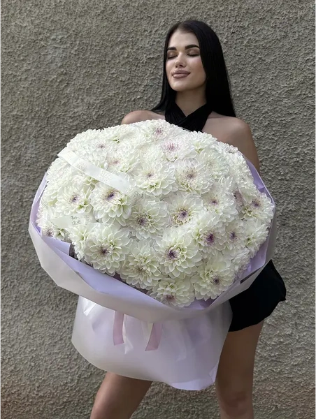 Георгины 51шт