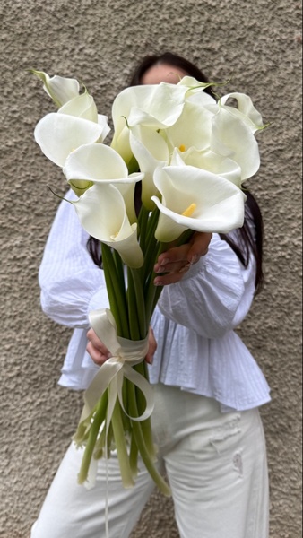 Калла белая